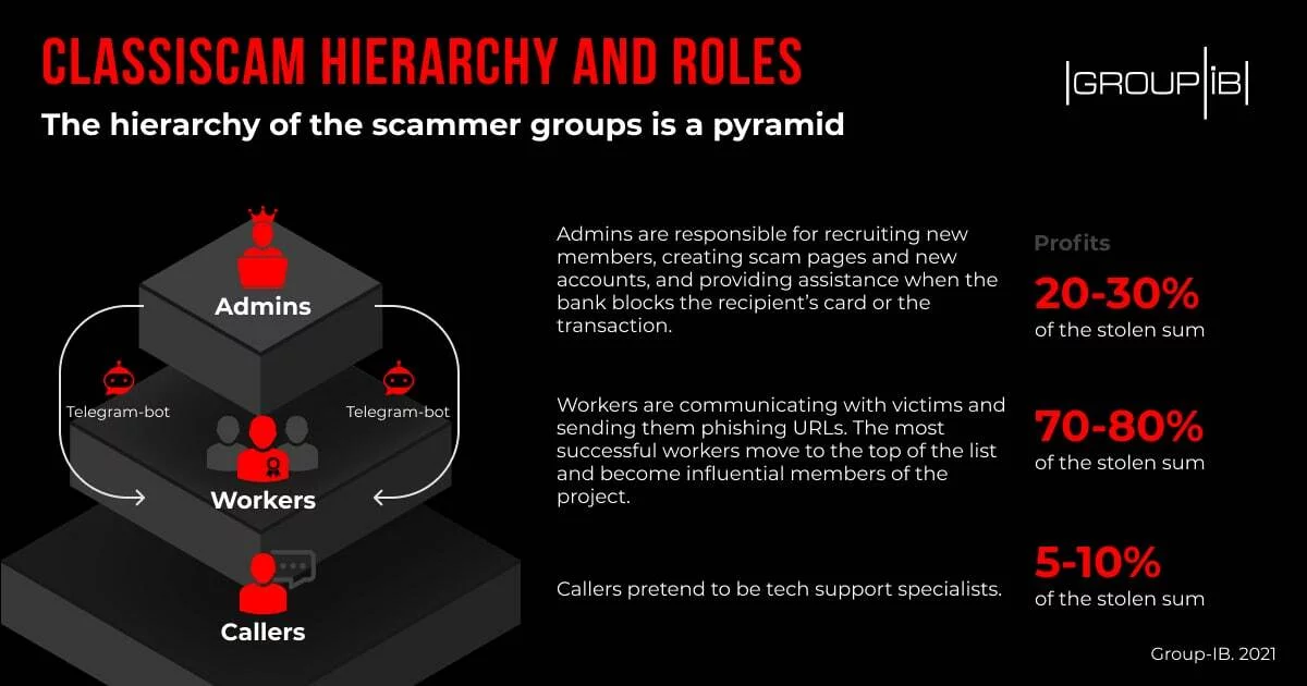 classisca, hierarchy and roles infographics