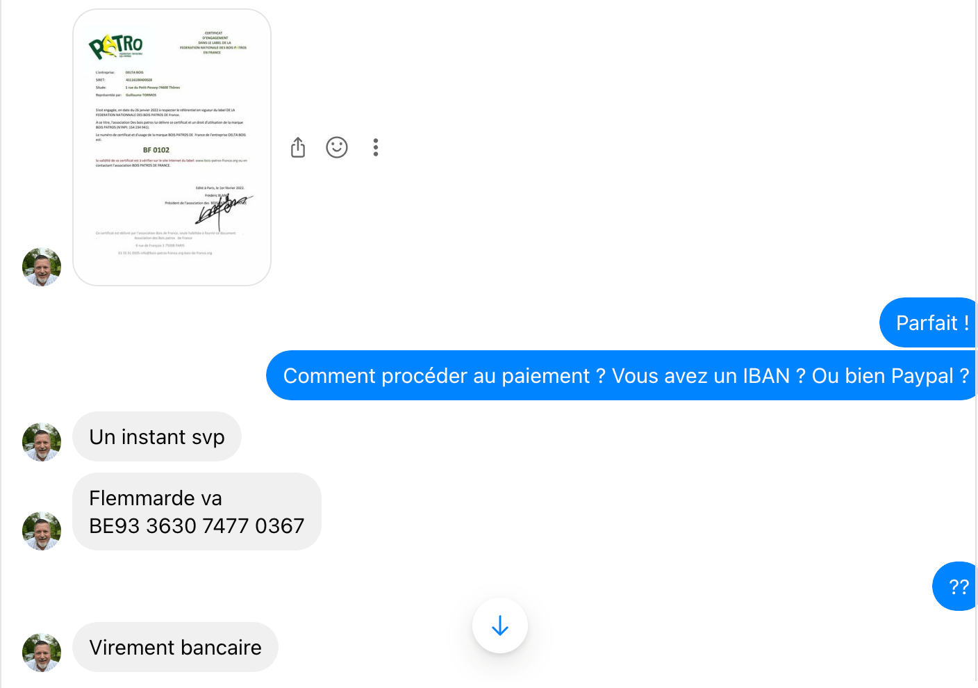 Figure 11. A screenshot of the scammer providing their victim with their IBAN information for money to be paid.