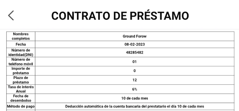 Fake loan contract example