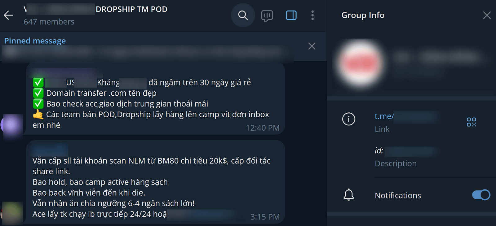 Figure 13. Promotional messages on offering Facebook BM accounts and domains for dropshipping and Print-on-Demand campaigns