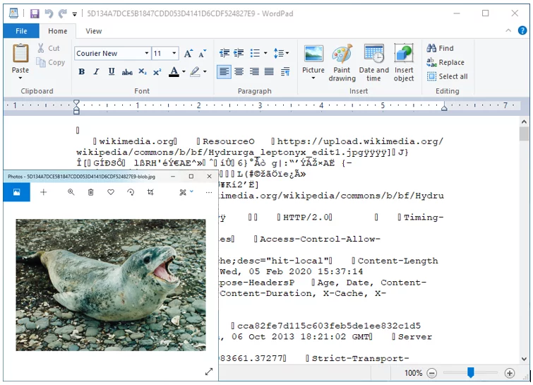 Downloaded picture from Microsoft Edge