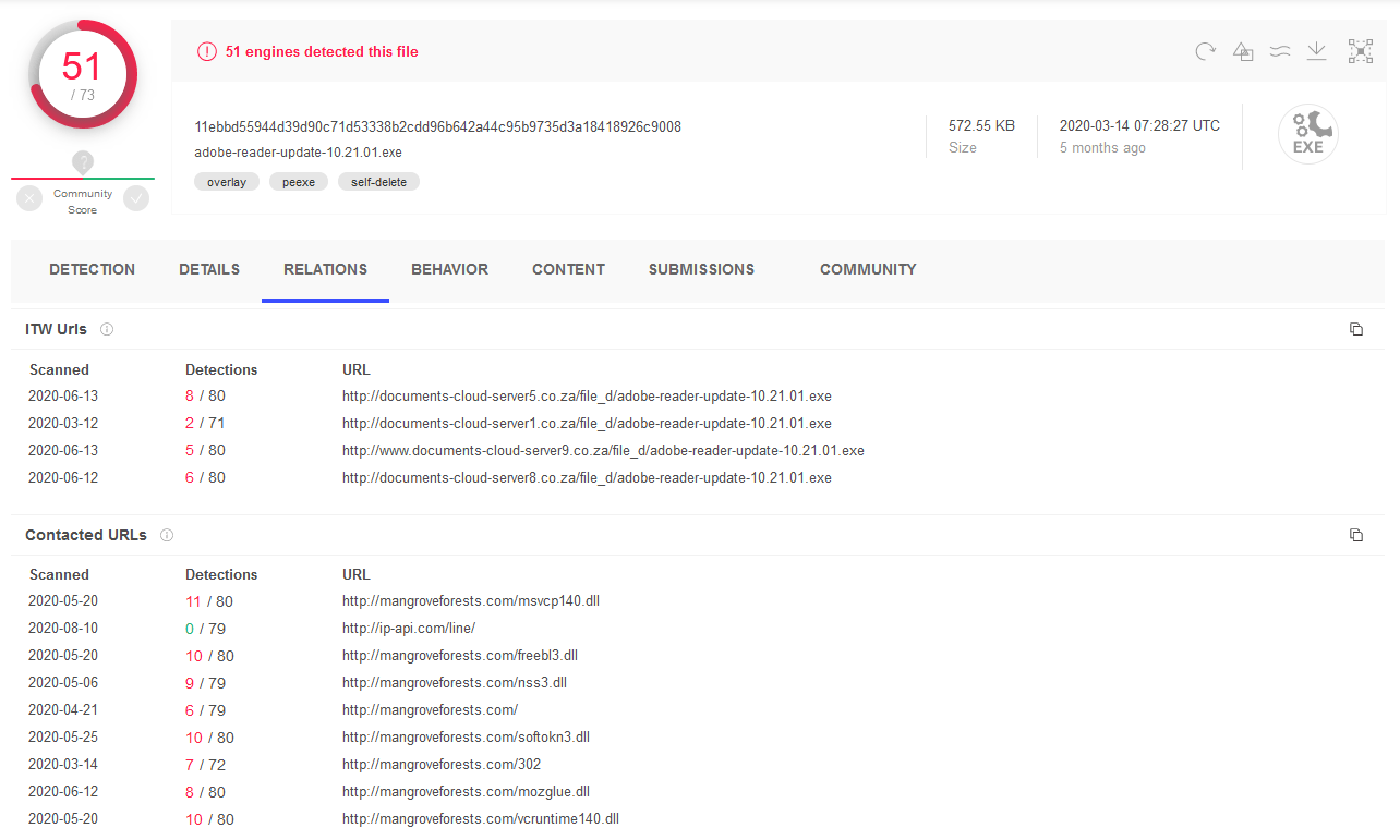 example of raccoon stealer malicious file