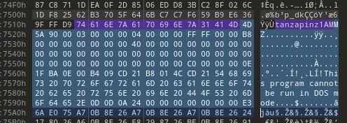 Demonstration of a DarkMe sample in the image
