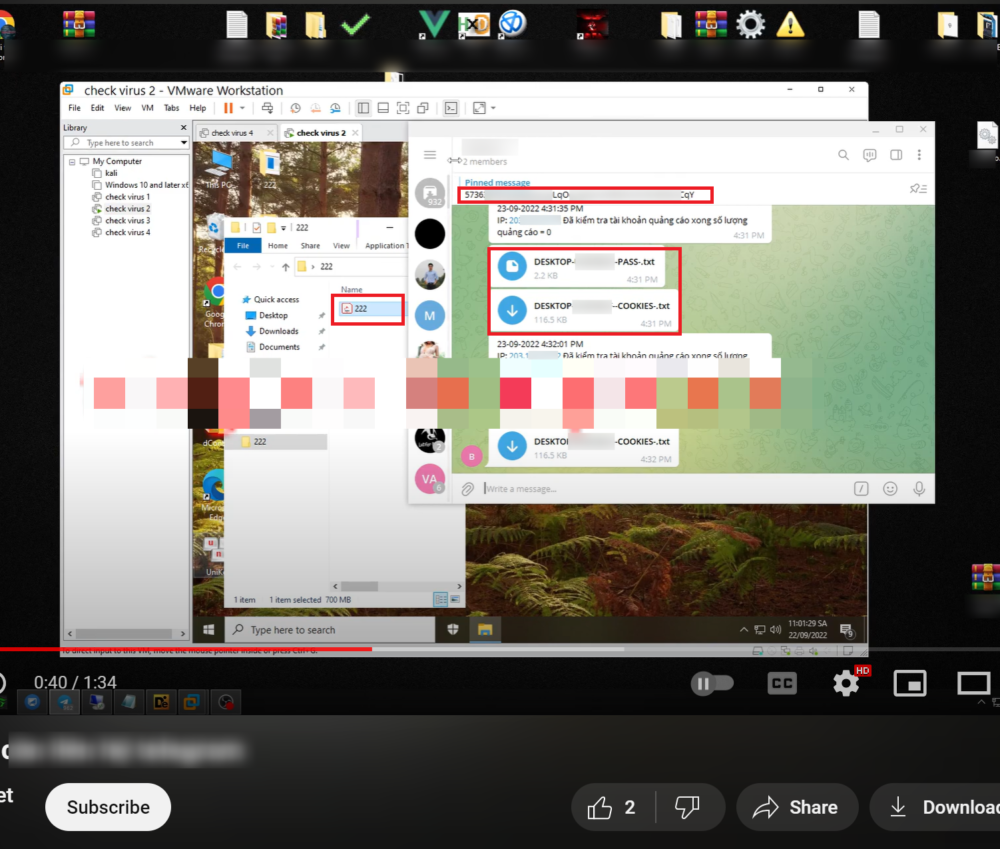 Screenshot of a YouTube video advertising VietCredCare demonstrating an example how victims’ credentials can be presented to the buyer