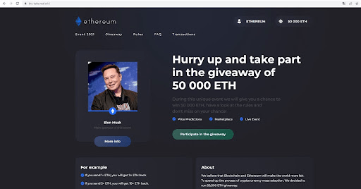 screenshot of a fake stream with Ilon Musk