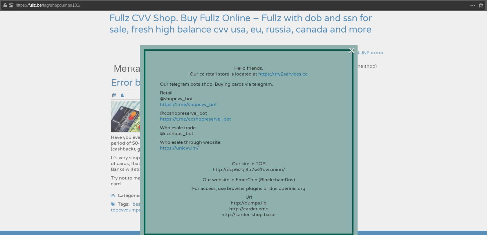 fake website screenshot