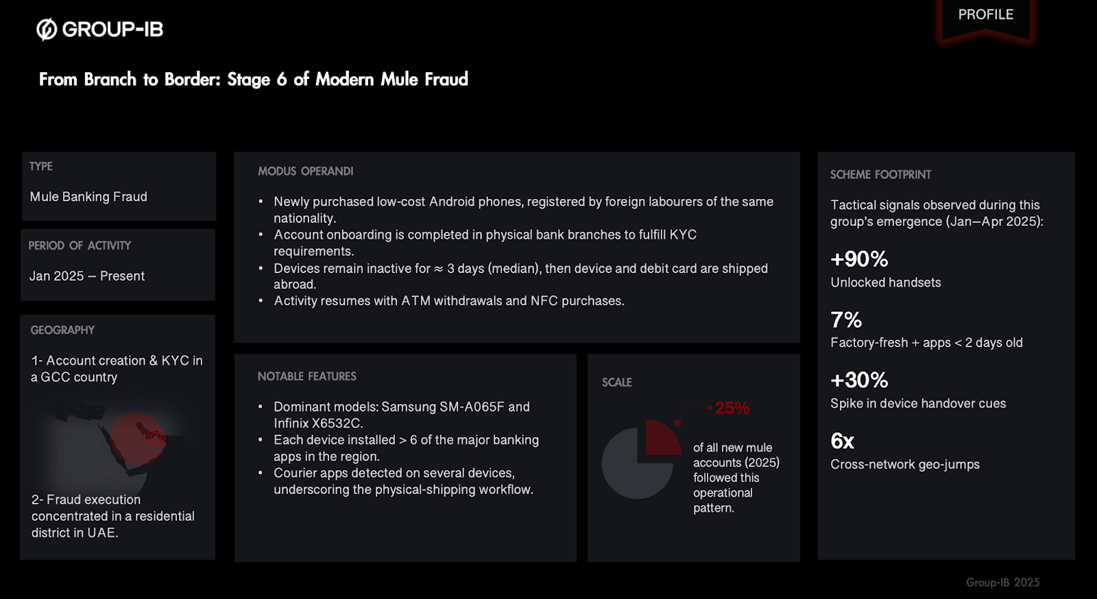 Figure 6: Threat Actor Profile of a Coordinated Mule Network (Stage 6).