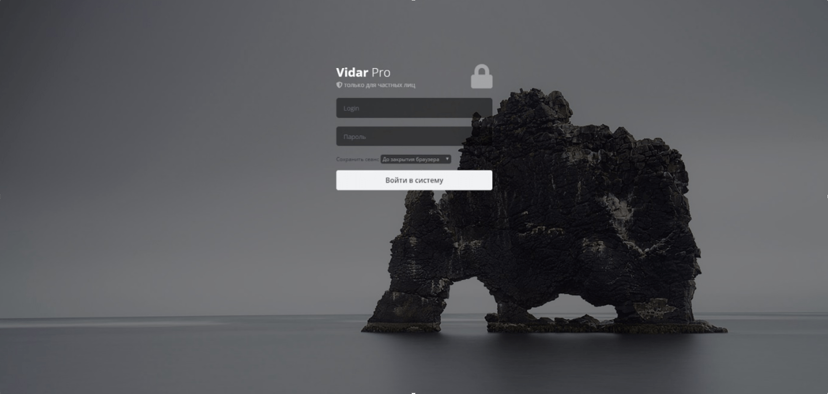 Vidar stealer admin panel