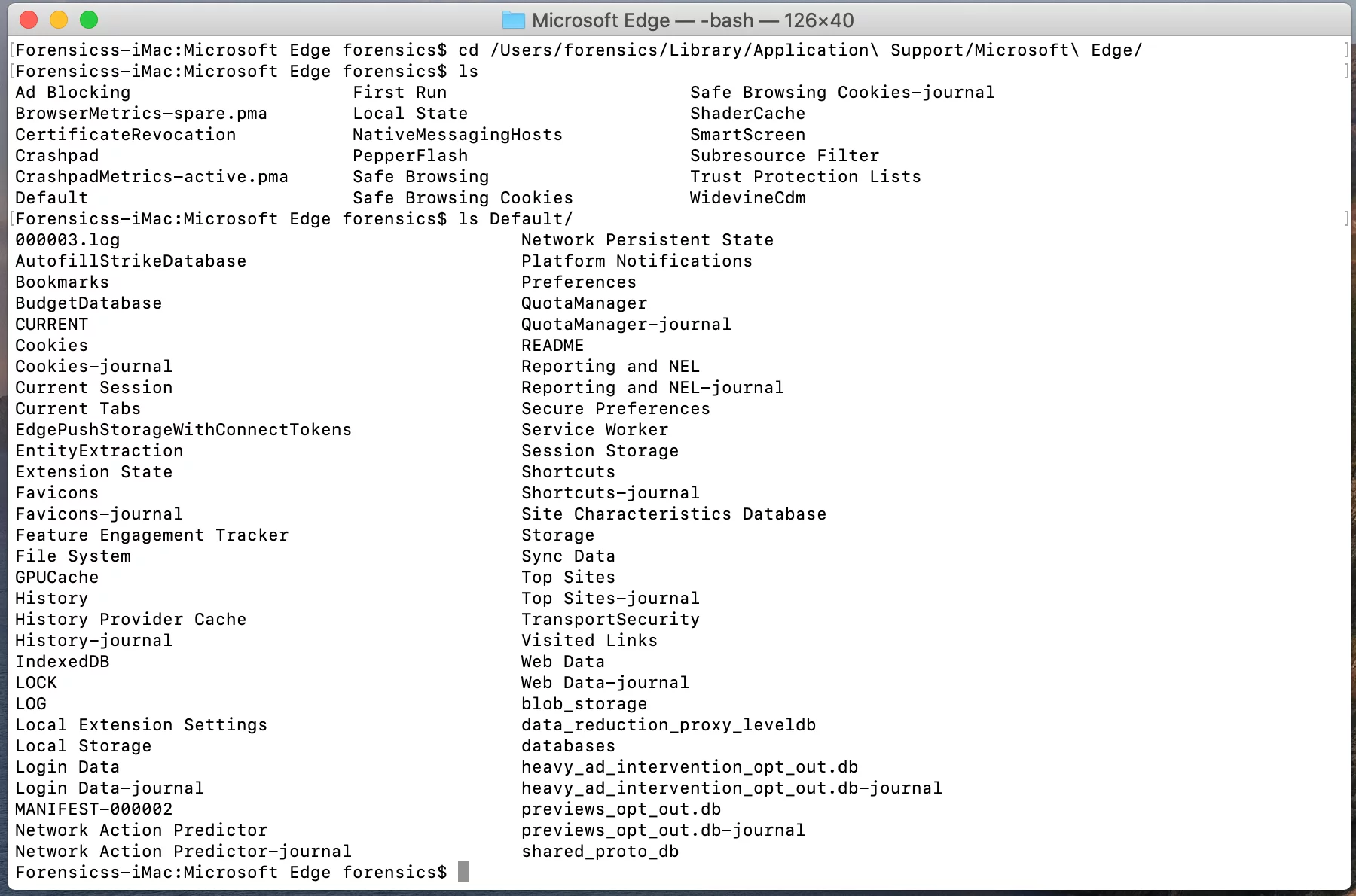 Microsoft Edge profile directory