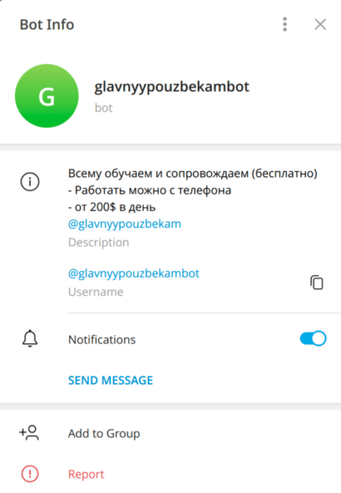Telegram bot found during the investigation