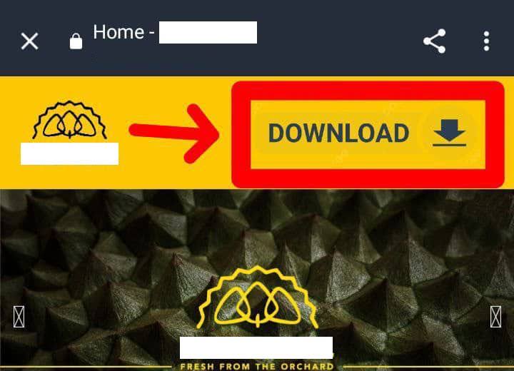Example of phishing website craxs rat