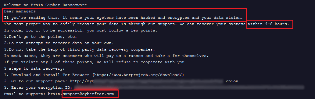 Example of Brain Cipher ransom note