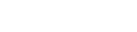 cortex