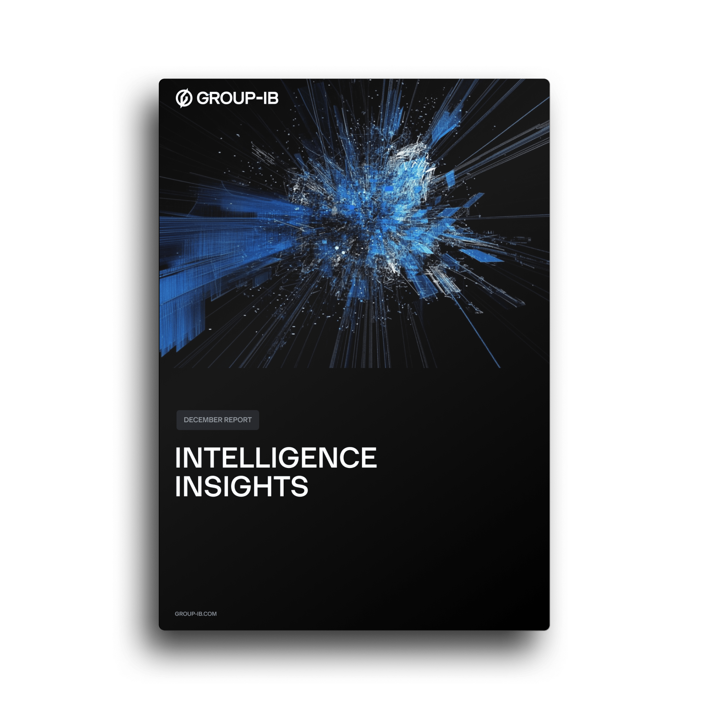 META Intelligence Insights Report, December 2024