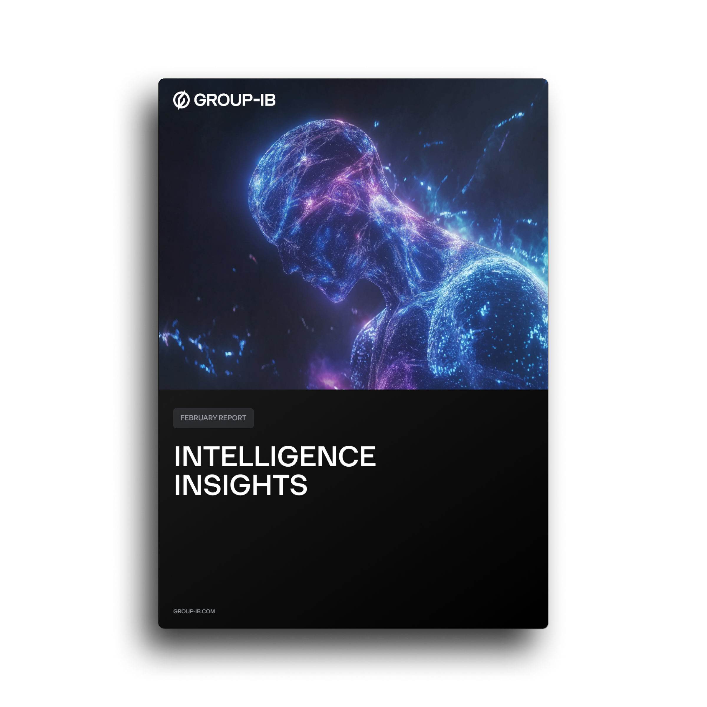 LATAM Intelligence Insights Report, February 2025 (English/Spanish)
