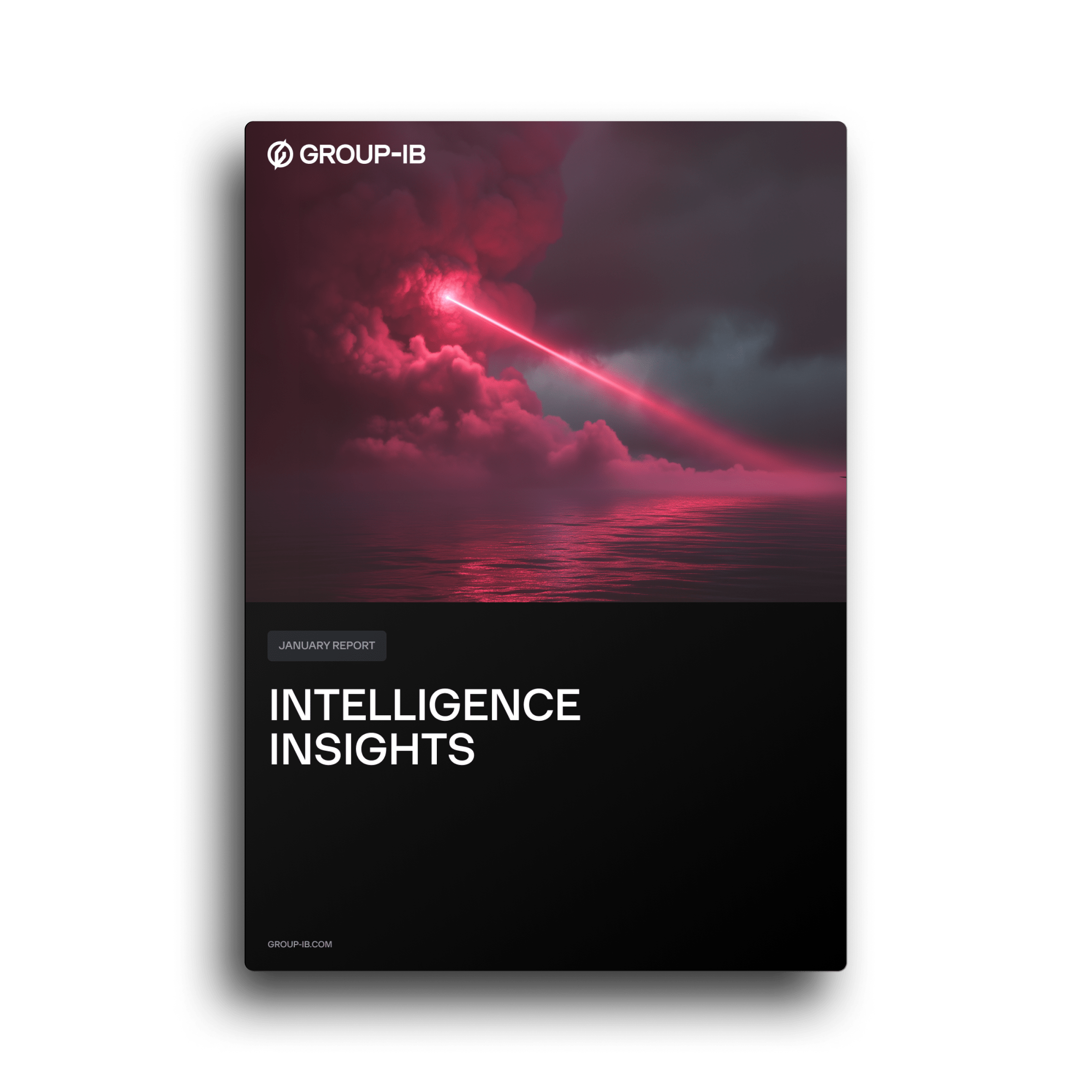 LATAM Intelligence Insights Report, January 2025 (English/Spanish)