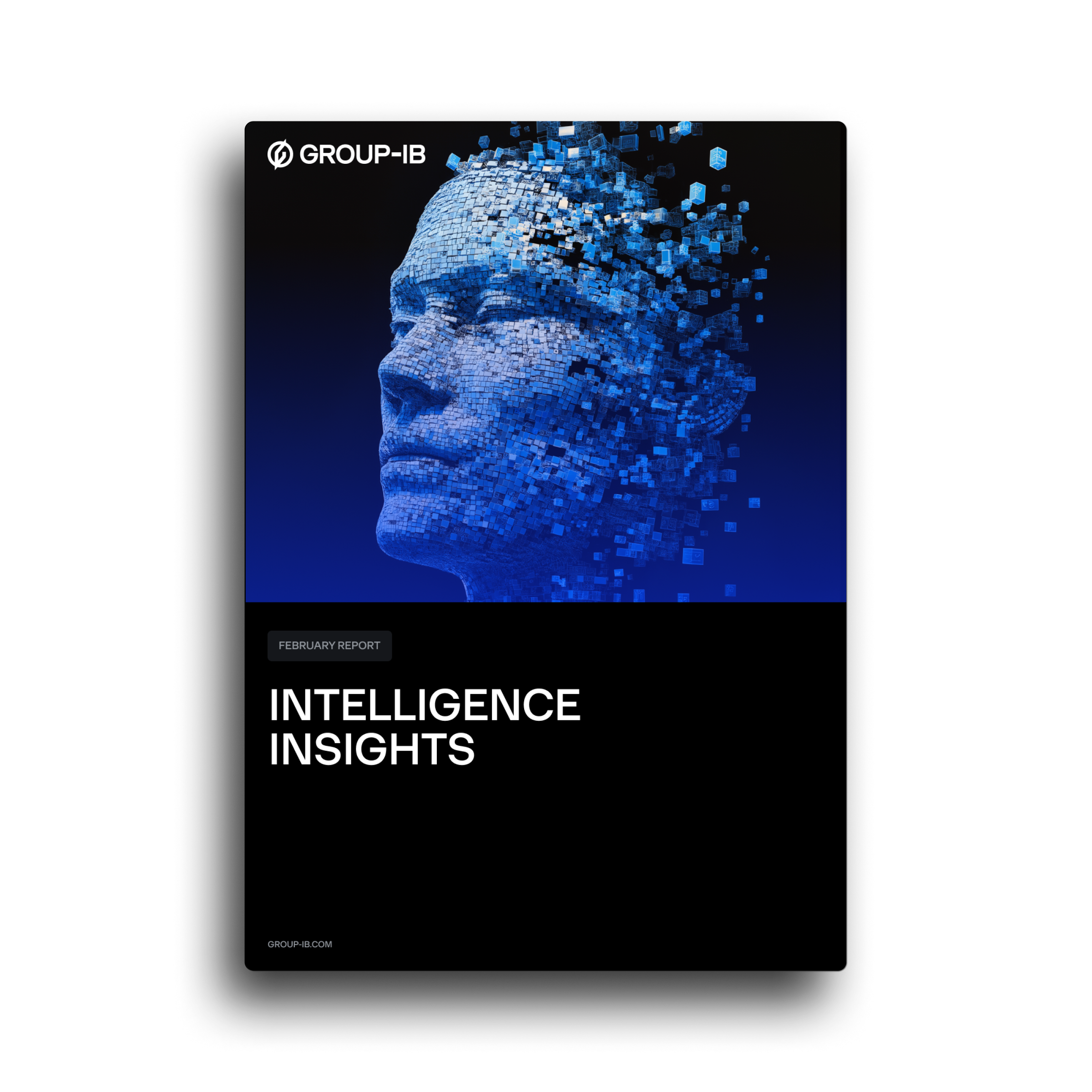 Intelligence Insights Report, February 2025