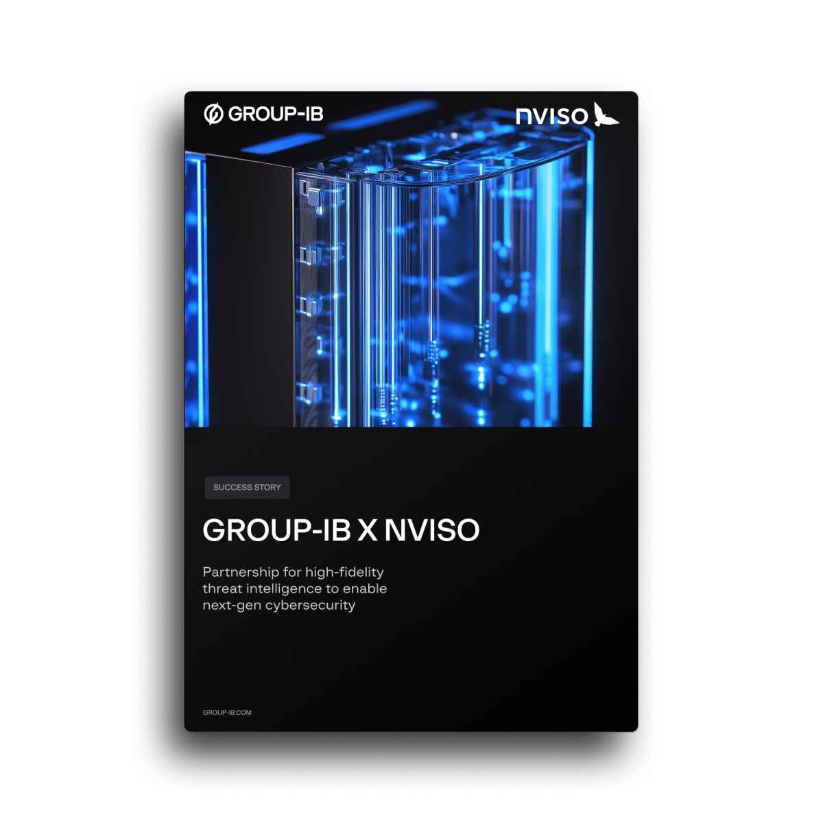 Group-IB x NVISO