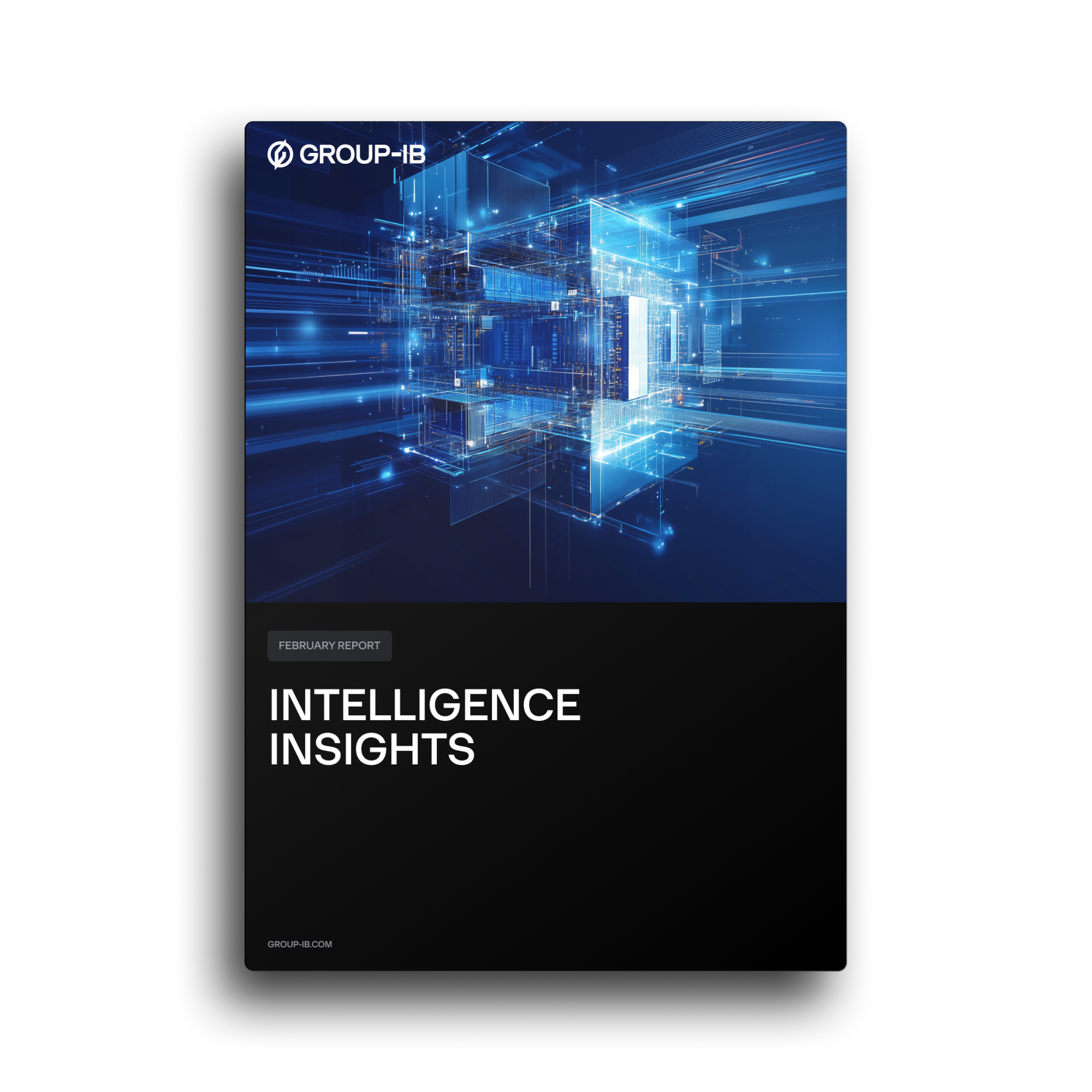 META Intelligence Insights Report, February 2025