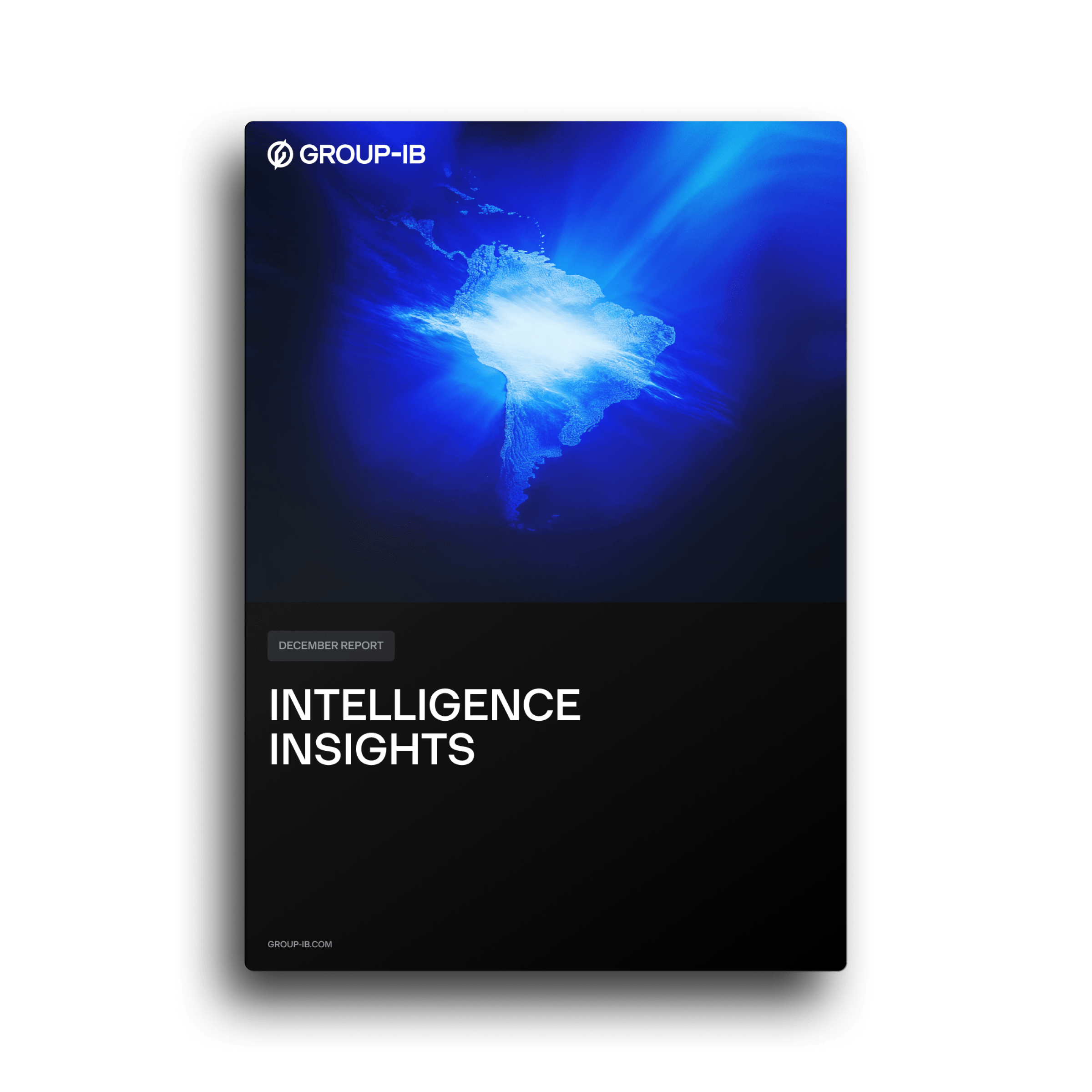 LATAM Intelligence Insights Report, December 2024