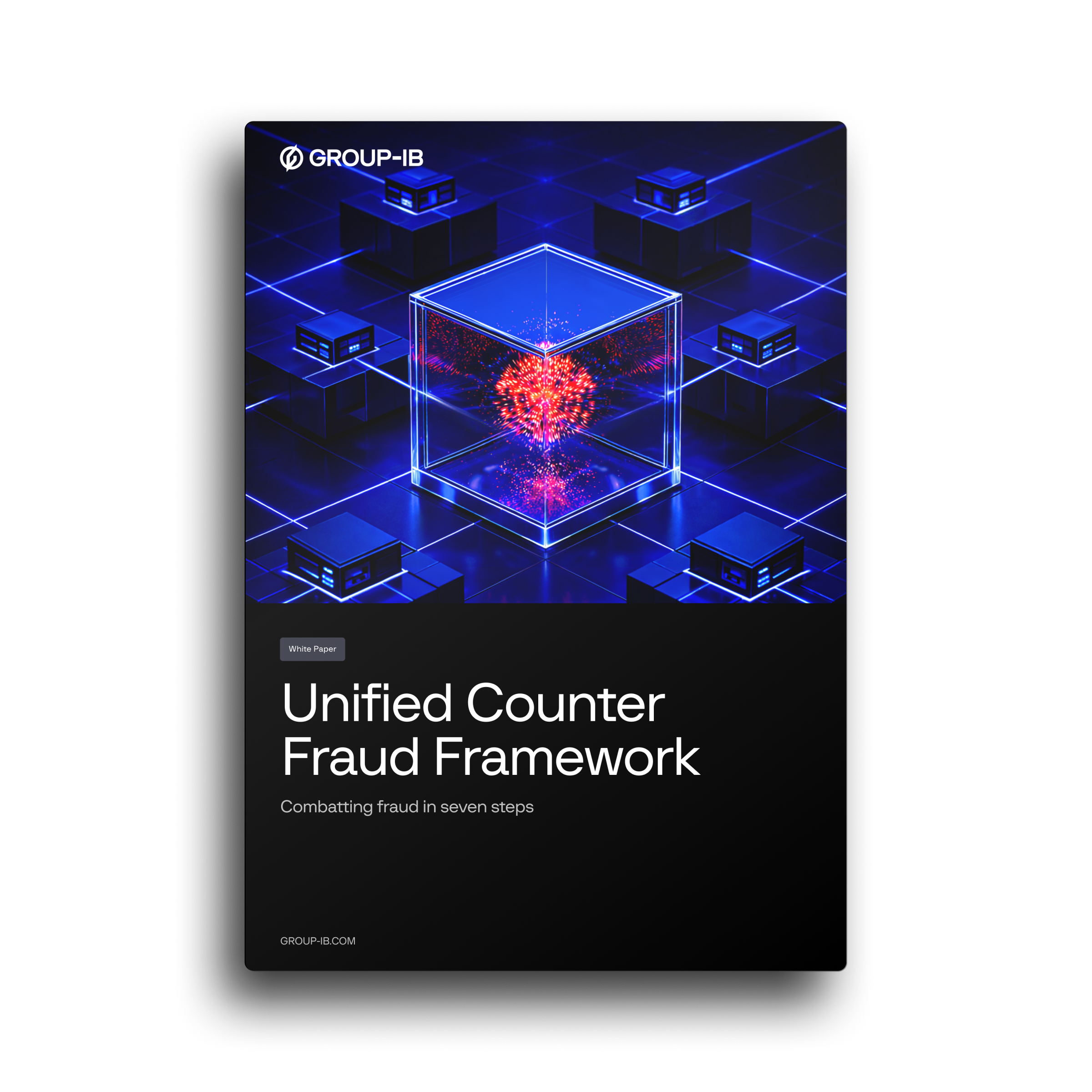 Unified Counter Fraud Framework