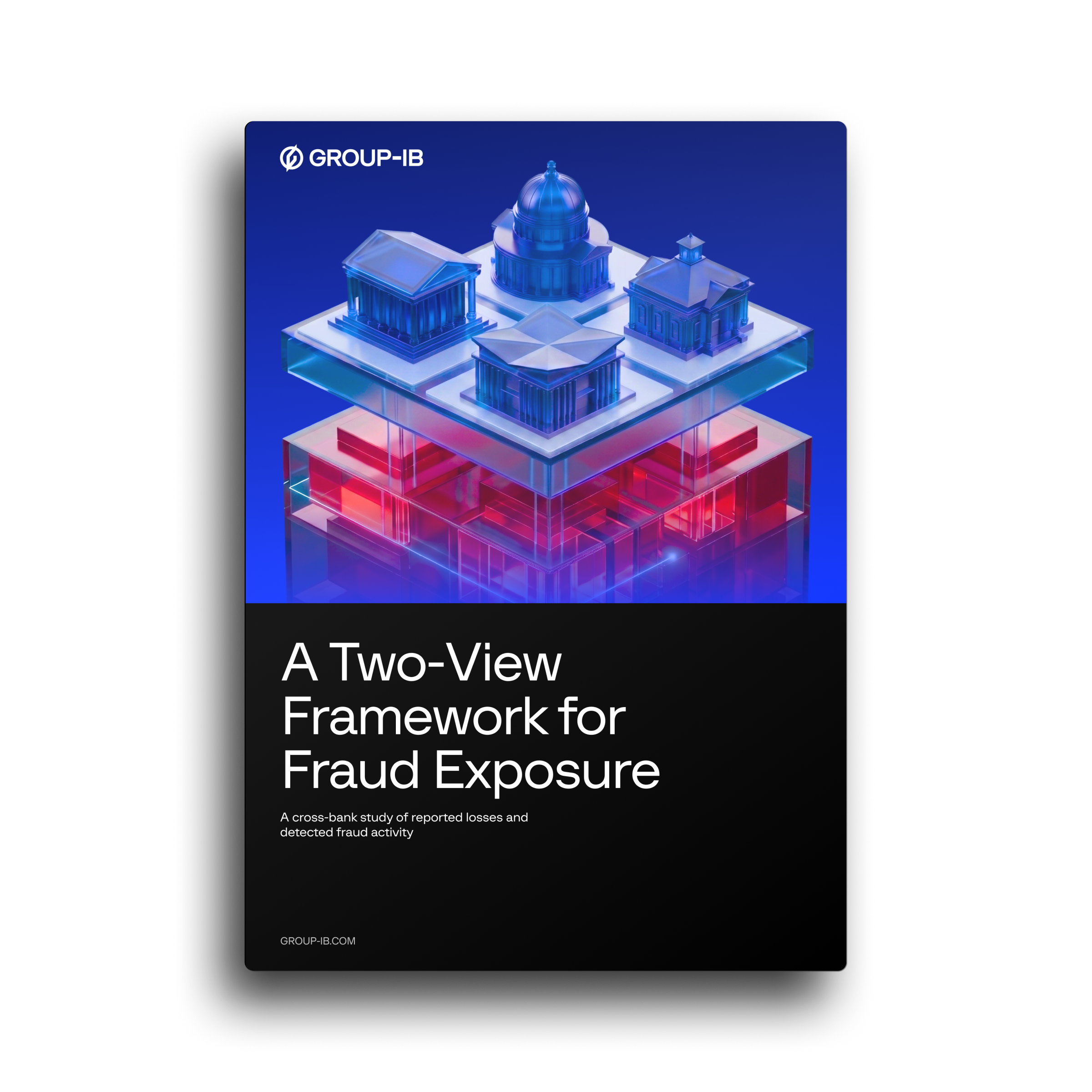 A Two-View Framework for Fraud Exposure