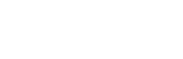 Data Security Shield