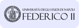 University of Naples Federico II - Unina