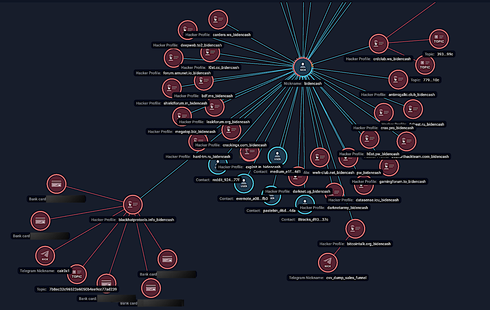 Figure 5. Group-IB’s Graph Network Analysis mapping the cards used by card testing bots, and connections to BidenCash.
