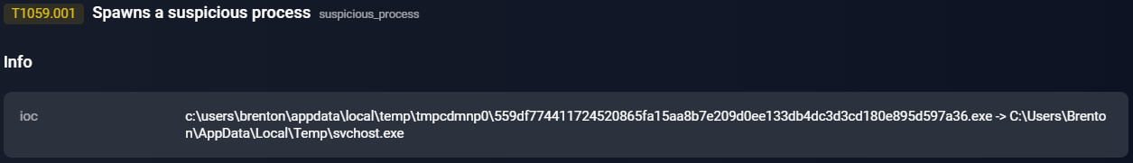 Figure 12. Malware self-installation step.
