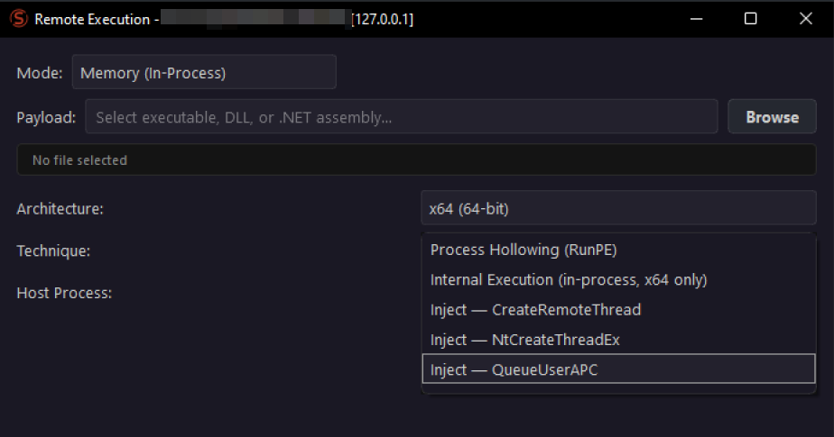 Figure 19. Remote execution option panel in SiriusQT server-side component.