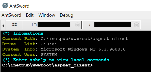 Figure 22. Executing AntSword on real target.