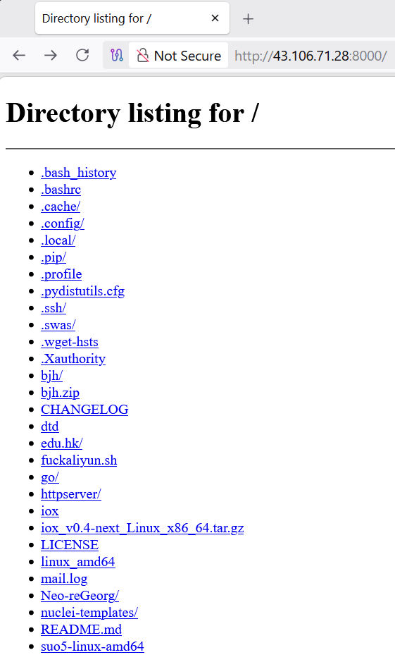 Figure 3. Open directory listing on an operator server.