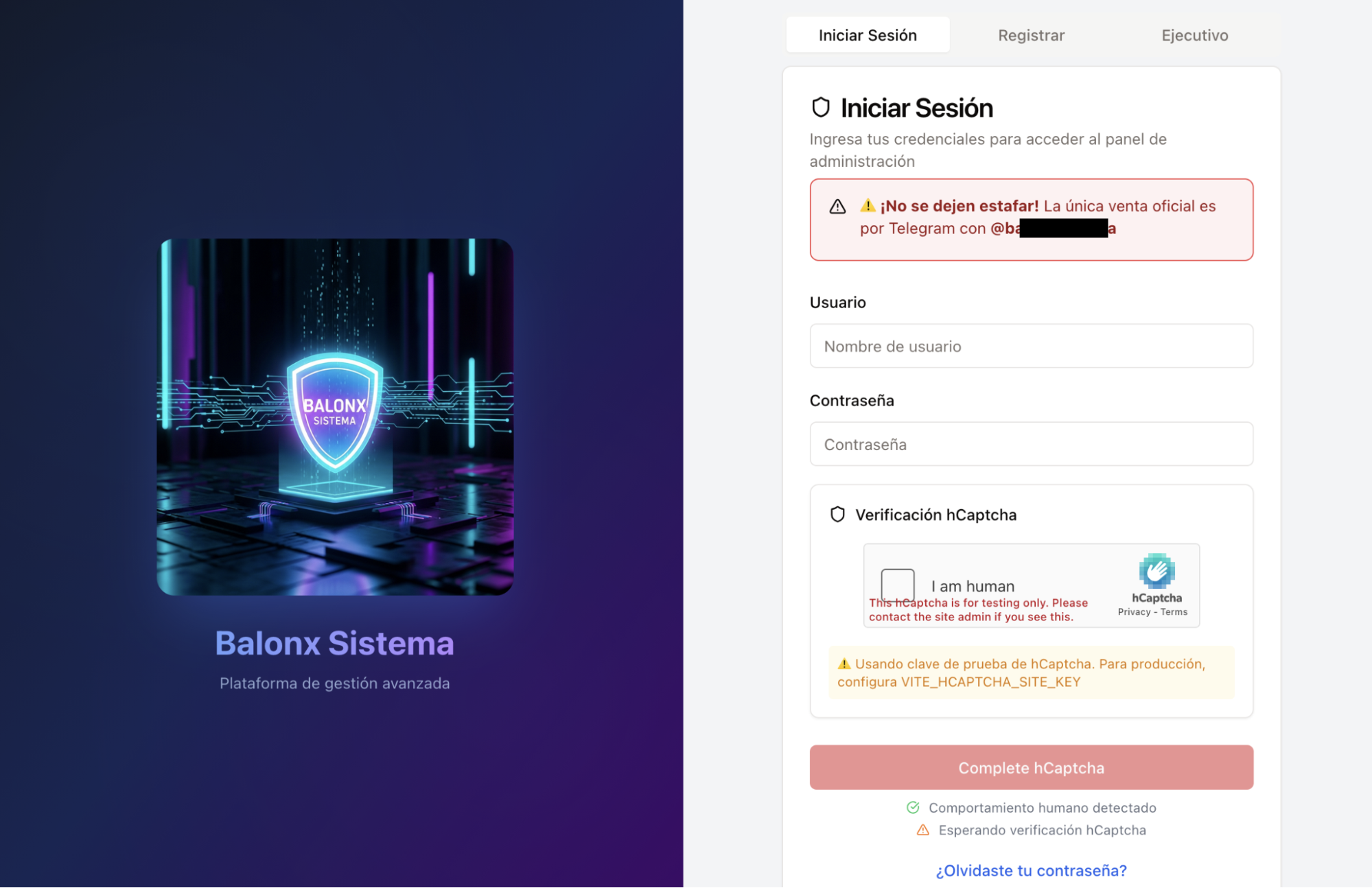 Figure 4. Login panel accessible via the /balonx path. Figure 4. Login panel accessible via the /balonx path.