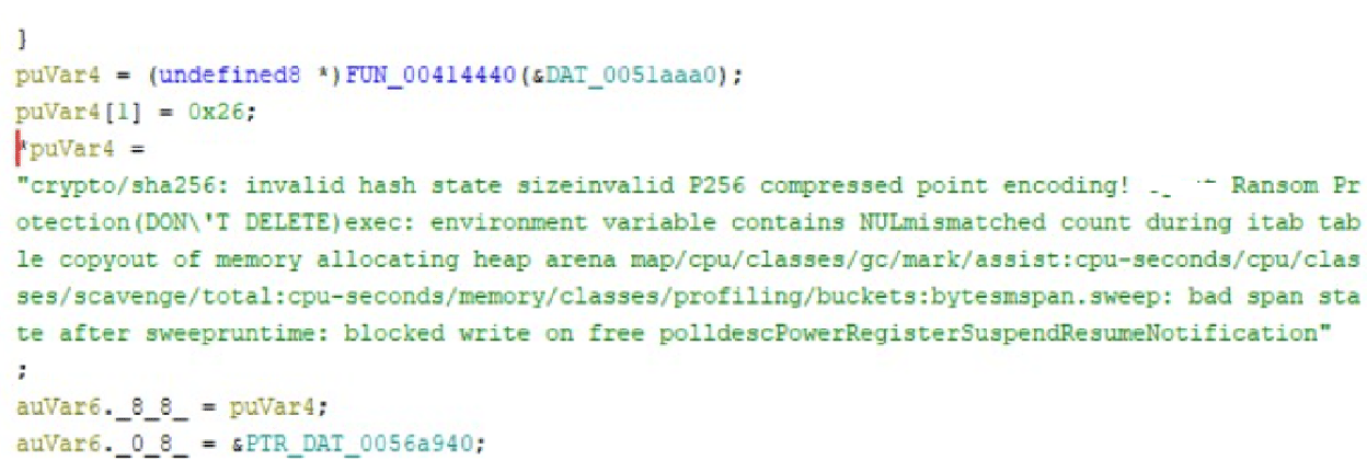Figure 6. Decompiling code segment of Gentlemen ransomware that shows this mention “Ransom Protection(DON'T DELETE)”