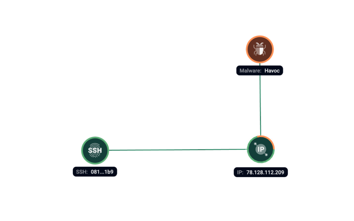 Figure 6. Group-IB Graph analysis of the network infrastructure related to Havoc.