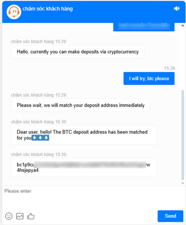 Figure 18. A screenshot of the interaction with the chatbot providing a cryptocurrency wallet address during top-up.