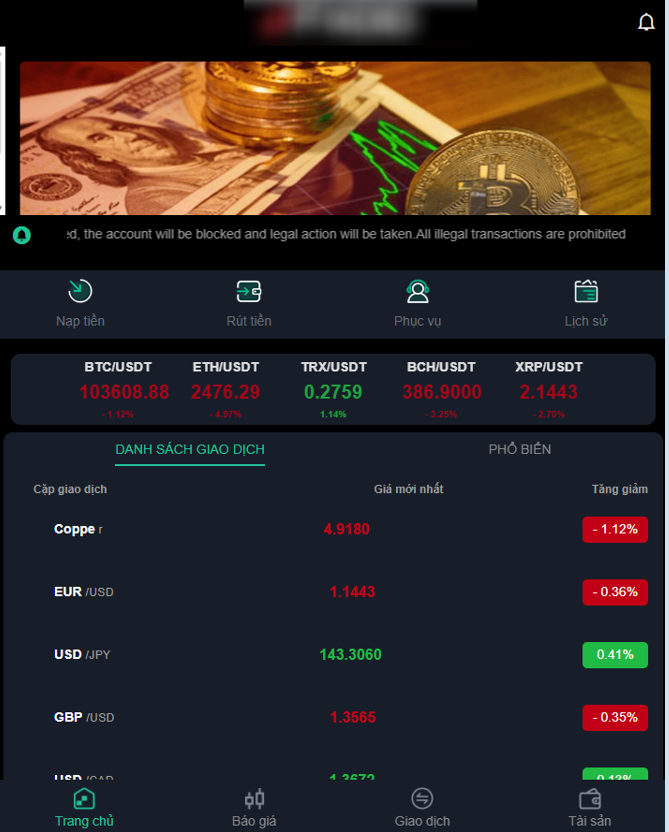 Figure 7. Example of a trading platform interface after successful login