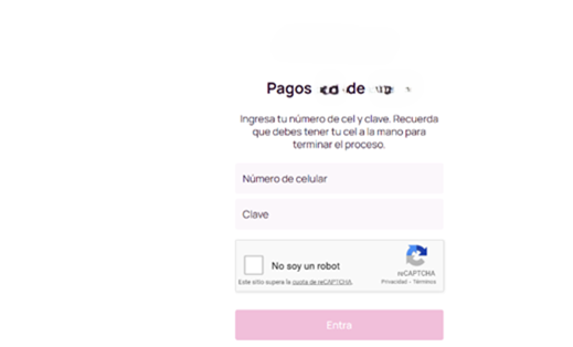 Image 10: Screen showcasing the request for the cellphone number and password of the service formoney transfer
