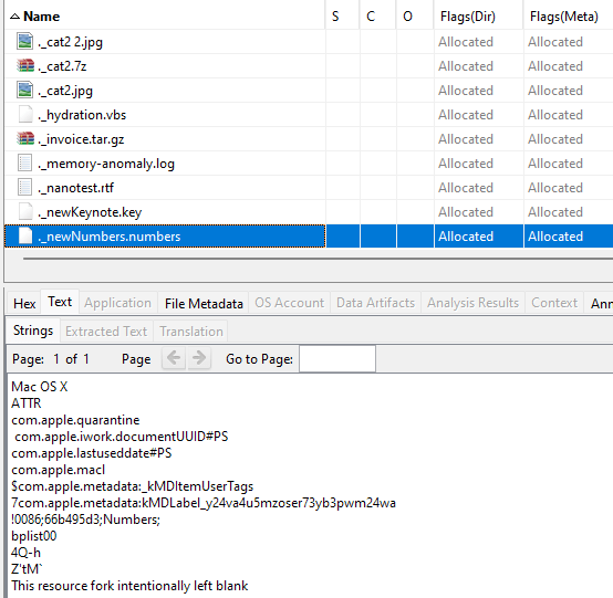 Figure 11 - Example of “._” files in a FAT32-Formatted USB