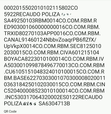 Image 12: Fake insurance transaction information for the QR code.