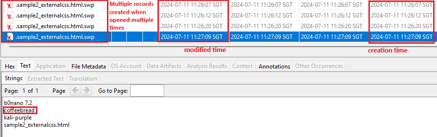 Figure 3 - Modifying the file multiple times with Nano creates multiple temporary files