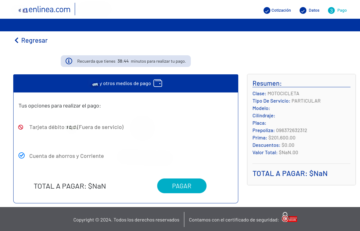 Image 6: The payment step shows the vehicle information and the payment methods for theinsurance
