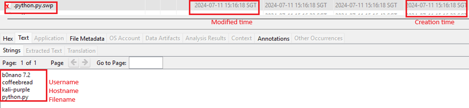 Figure 7 - Application version, username, hostname, and filename recorded in .filename.swp