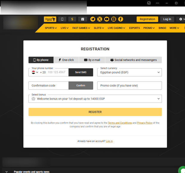 Figure 8. Screenshot of the registration panel on a fraudulent betting website, where users provide their personal information in order to gain access to the betting games.