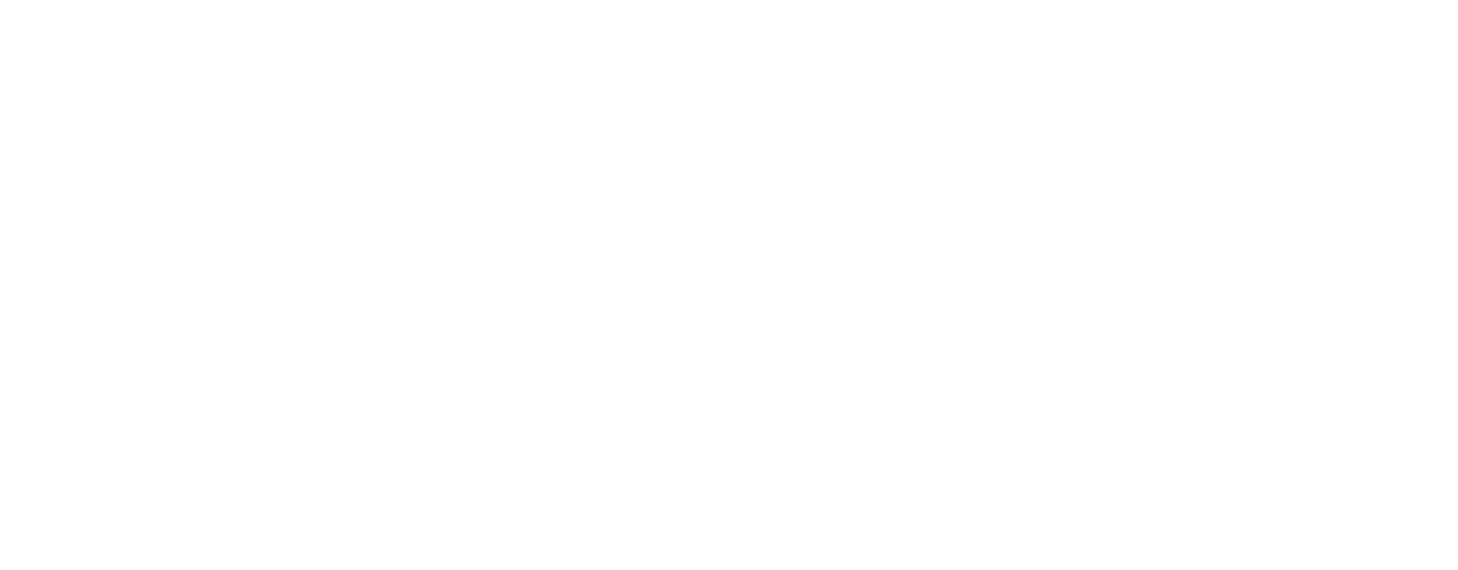 Ondata International