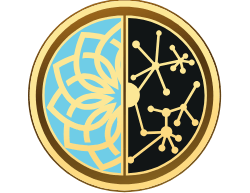 Operation lotus challenge coin