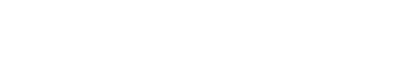 LynxTech