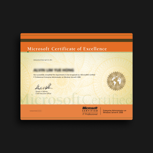 Microsoft Certified IT Professional (MCITP)