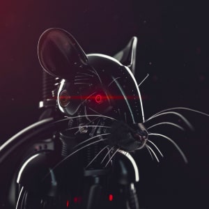 Beware the RAT: Android Remote Access malware strikes in Malaysia